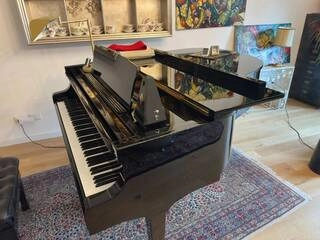 petrof breeze – pianoforte a 1/2 coda 2004