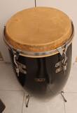 conga pearl 12 5