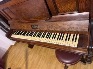 vendo splendido pianoforte verticale
