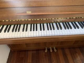 vendo pianoforte verticale bachmann
