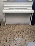 pianoforte sauter 120 bianco r2 doppio scappamento con trasporto