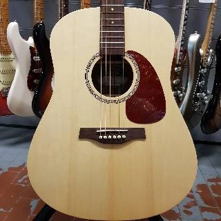 seagull - walnut isys t - spedizione gratis - chitarre usate Seagull