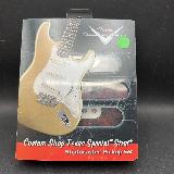 fender - texas special stratocaster set