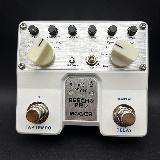 mooer - reecho pro
