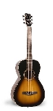 simon--patrick-woodland-pro-parlor-qit-sunburst-hg