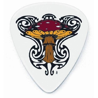 dunlop bl36r shroom .73