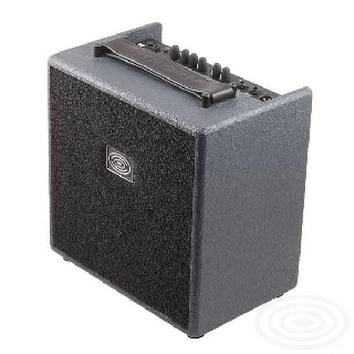 sr technology giulia grey - amplificatore 50 watt per voce e chitarra acustica