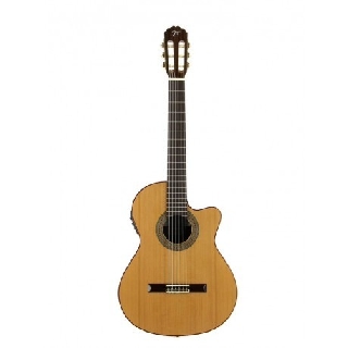 jose torres jtc-30 ce - chitarra classica cutaway