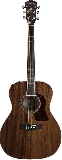 washburn-hg-12s