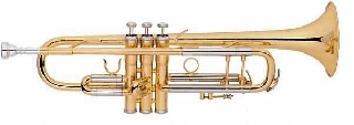 extreme jbtr-04 tromba in sib corpo in ottone finitura oro laccato canneggio 11,8 mm - set completo