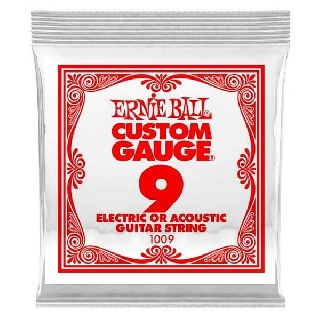 ernie ball 1009 plain steel .009