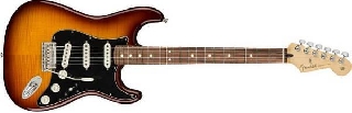 fender player stratocaster plus top pau ferro tobacco sunburst